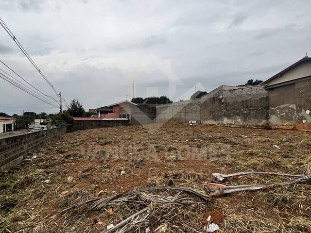 Área para Venda em Cosmópolis - 4