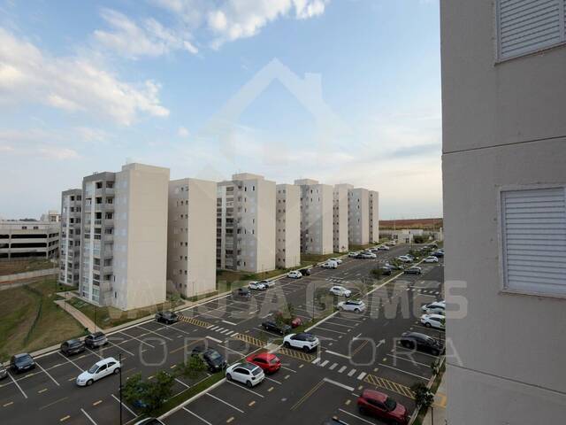 #9769 - Apartamento para Venda em Paulínia - SP - 1